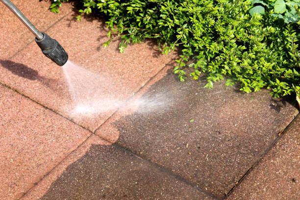  Lewiston, CA Pressure Washing Pros